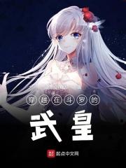 穿越到斗罗大陆武魂殿的