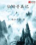 仙寻游记百科