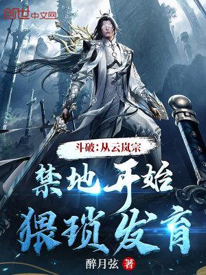 穿越斗破苍穹云岚宗