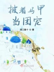 披着马甲踹便当
