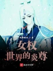女权世界的奴隶