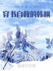 斗破之重生韩枫