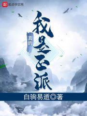 我真的是正派类似的