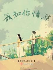 你知我情深全文完结