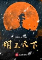 明朝天王是什么官职?