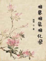 相思相见知何日免费阅读