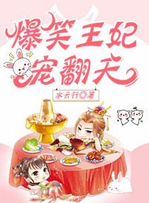 爆笑王妃免费阅读