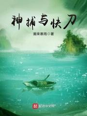 龙迹天下电视剧