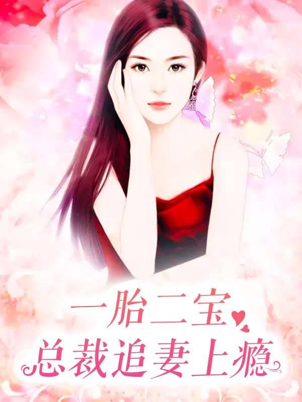 一胎二宝总裁追妻成瘾免费阅读
