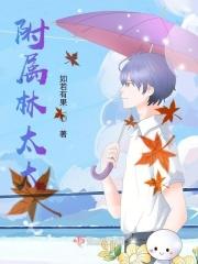 林太太是什么电视