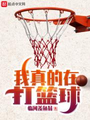 我真的在打篮球txt