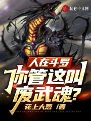 人在斗罗武魂是彦