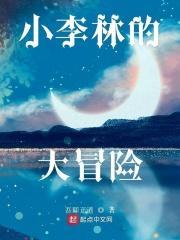 小李琳百度百科