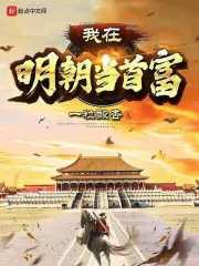 我在明朝当首富李植有声