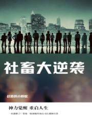 社畜逆袭从小米开始反卷互联