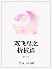 飞鸟折法