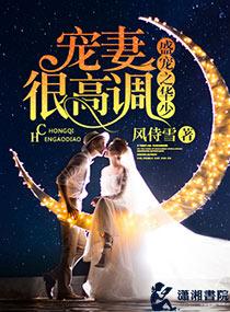 盛少宠妻100式大结局