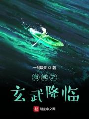 海贼之我是玄武网