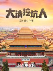 大清王朝的掘墓人