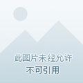 夺命医疗 在线阅读