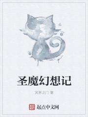 新纪幻想圣魔战记2金手指