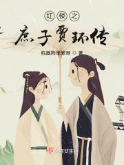 红楼之庶子贾环无弹窗全文免费阅读