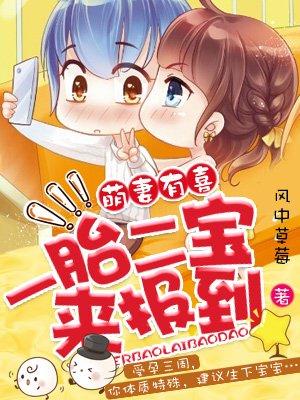 一胎二宝是什么电视剧