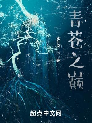 苍青之剑顶点