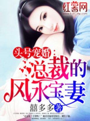 总裁的分水宝妻