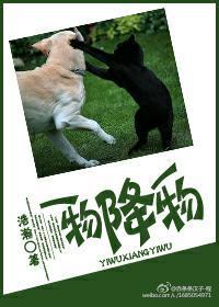 一物降一物的下一句