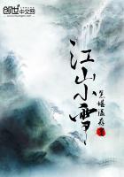 江山又小雪宝书网