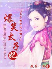 爆笑太子妃txt