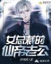 女总裁的仙医