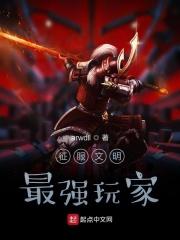 征服者与文明无敌版