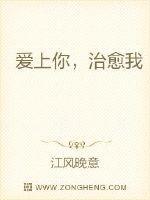 爱上你治愈我原著