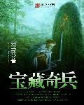 奇兵夺宝
