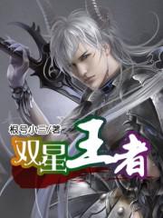 王者双排星耀和王者25星可以么