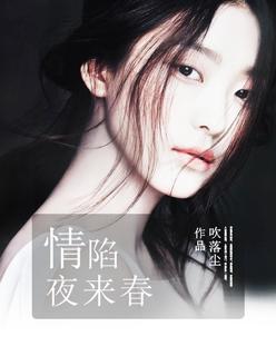 情陷夜巴黎剧情介绍