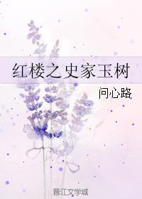 穿越红楼之史家