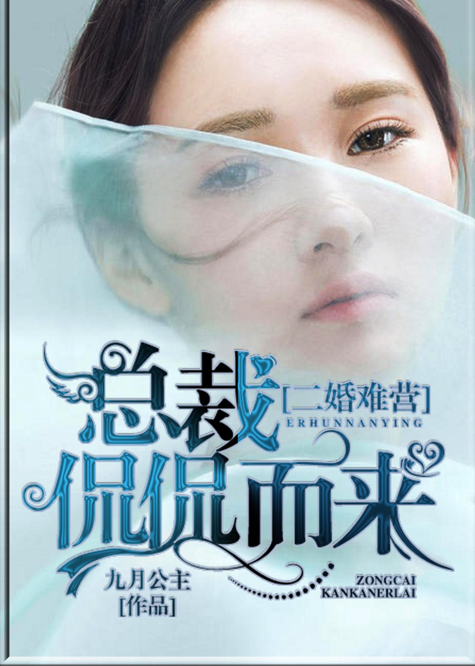 二婚有喜总裁甜宠妻