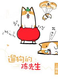 遛狗的陈先生完整版