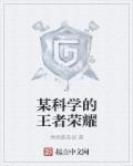 某场王者荣耀