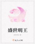 盛世大明主角简介