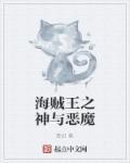 海贼王神之降临