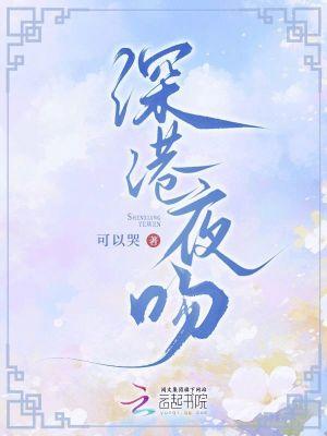 深夜港湾关淑怡歌词