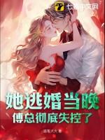 傅总的闪婚新妻