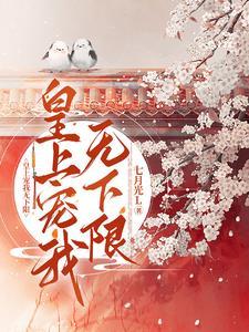 皇上宠