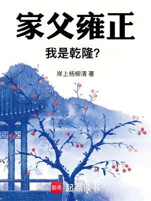 雍正父皇