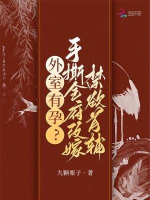 外室全本免费阅读