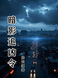 暗夜追凶